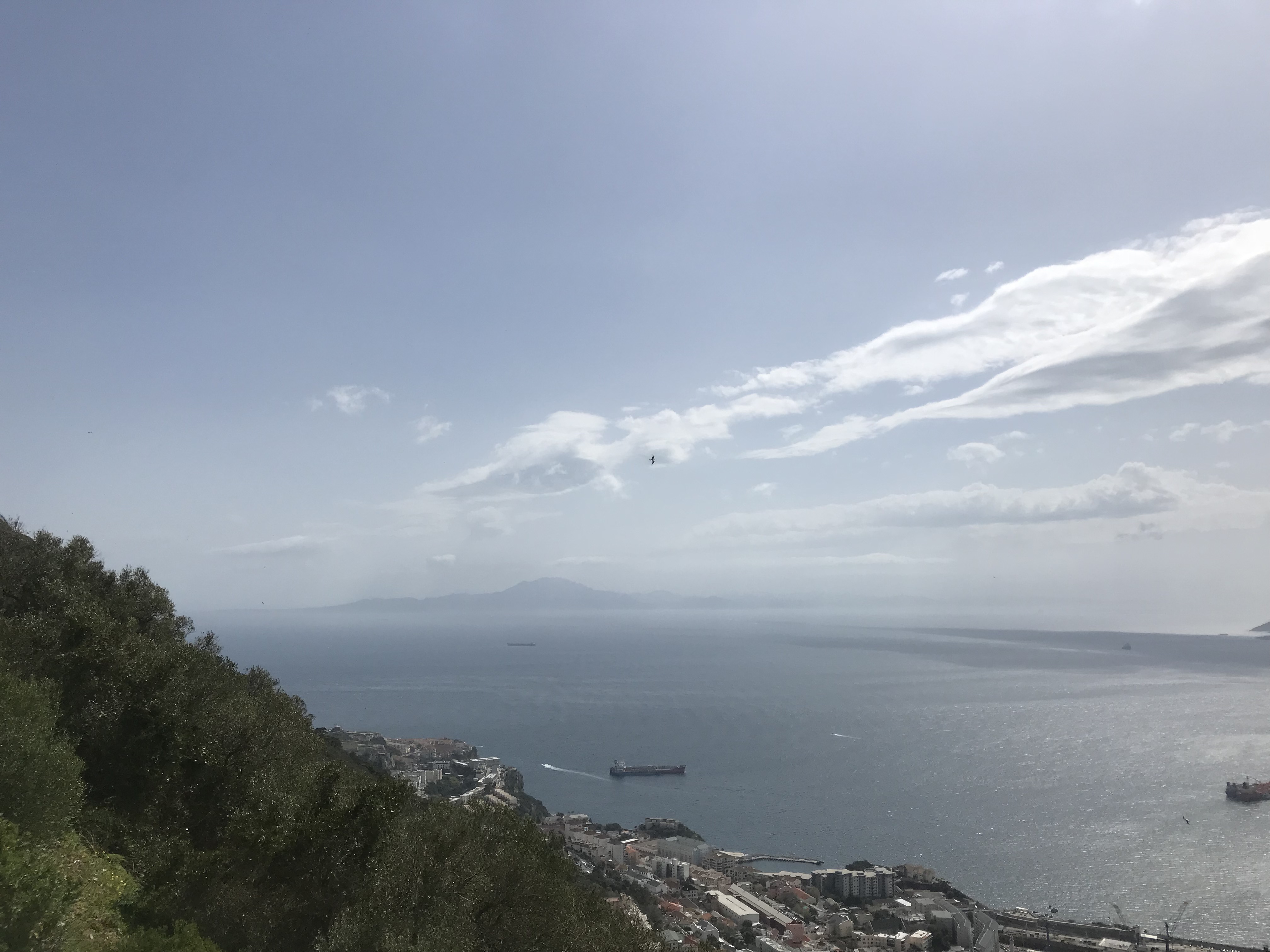 Gibraltar-the-rock-felsen-von-Gibraltar-Affen-Europa-Afrika