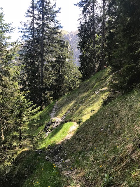 Abstieg-Seinskopf-Karwendel-Bergtour-rebeccaontheroof