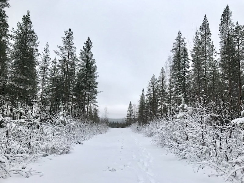 Erster_Schnee_Finnland_Reise_zum_Nordkapp