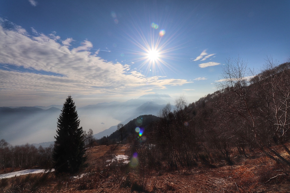 Titelbild-Ausblick-Baum-Berge-Lago-Maggiore-Schweiz-rebeccaontheroof.jpg